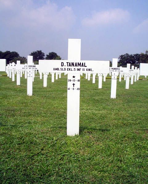 tanamal.d.2005.jpg