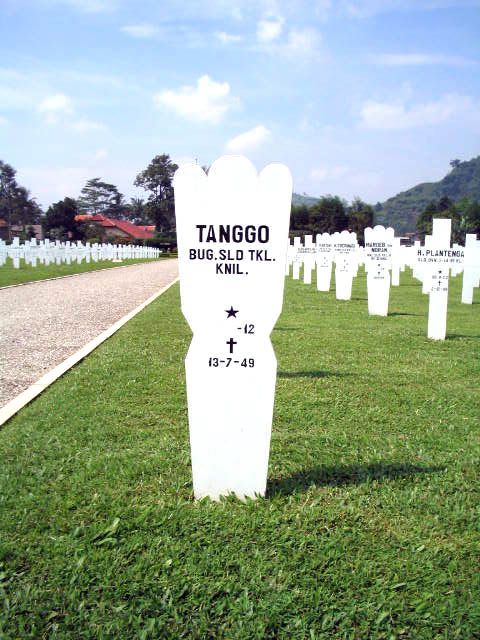 tanggo.2005.jpg