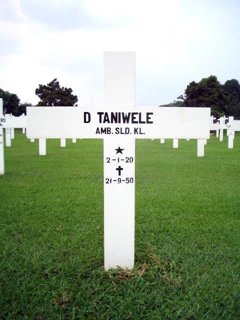 taniwele.d.2005.jpg