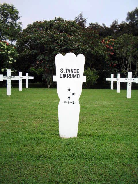 tanoe dikromo.s.2005.jpg