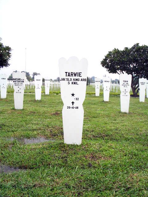 tarwie.2005.jpg