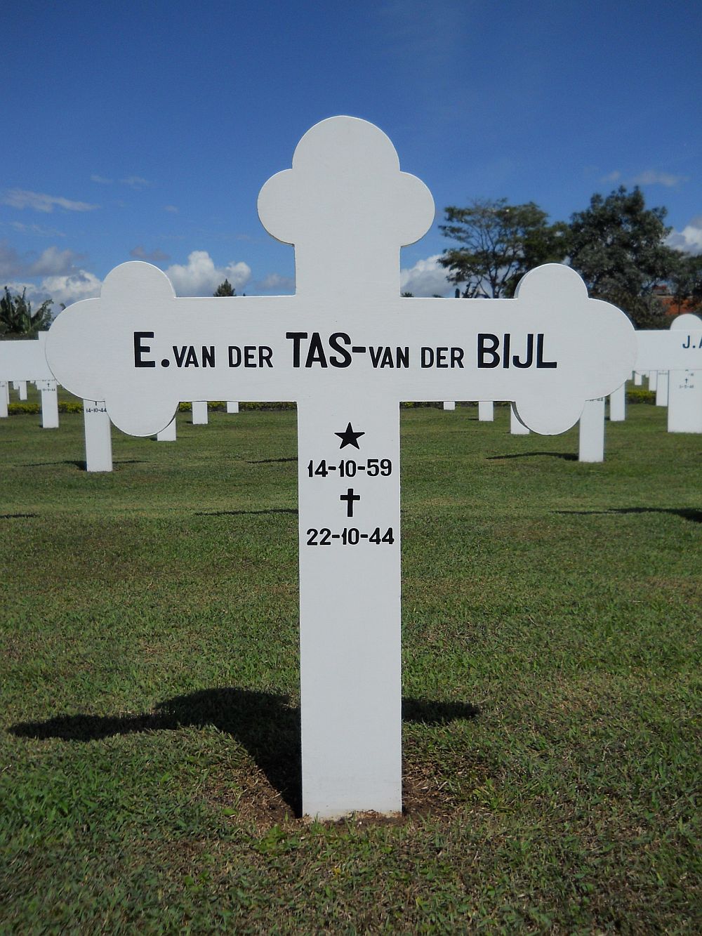 tas-van der bijl.e.van der.2011.jpg