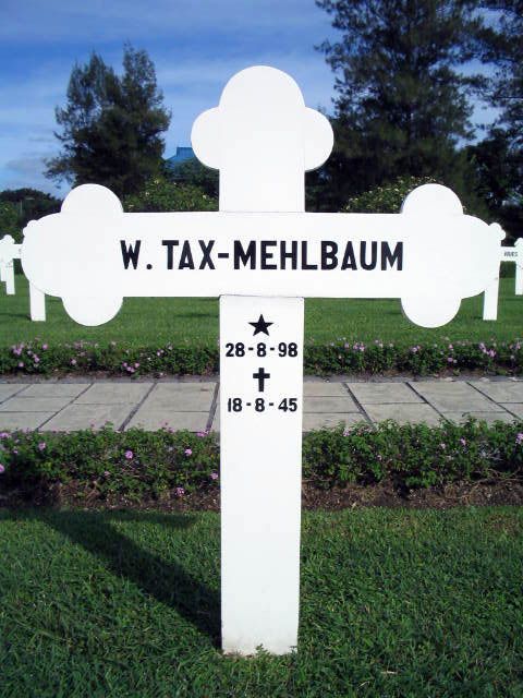 tax mehlbaum.w.2004.jpg