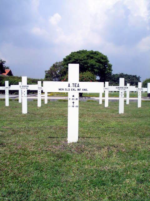 tea.a.2005.jpg