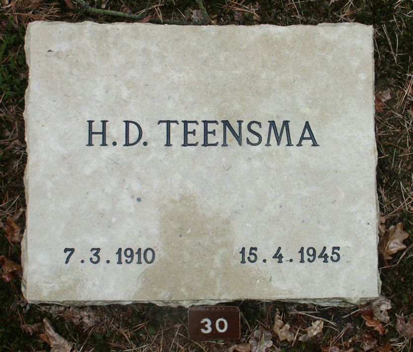 teensma.h.d.jpg