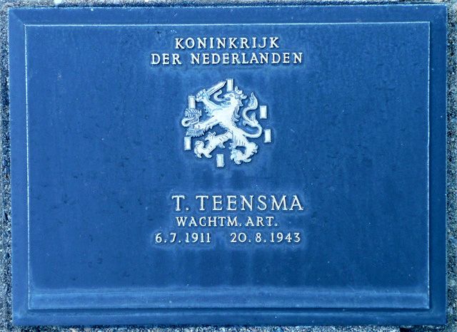Teensma.T.2008.jpg