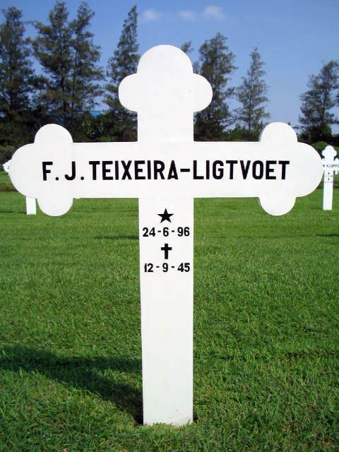teixeira ligtvoet.f.j.2004.jpg