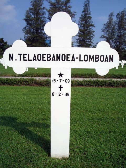 telaeobanoea lomboan n.2004.jpg