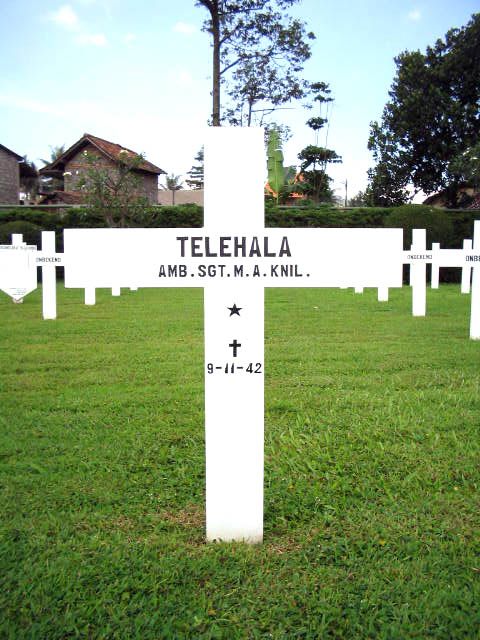 telehala.2005.jpg