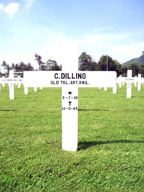 dilling.c.2005.jpg