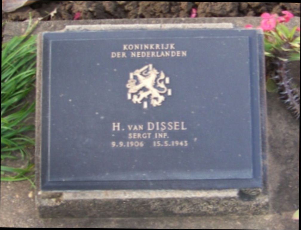 Dissel H van.jpg