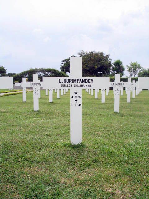 rorimpandey.l.2005.jpg