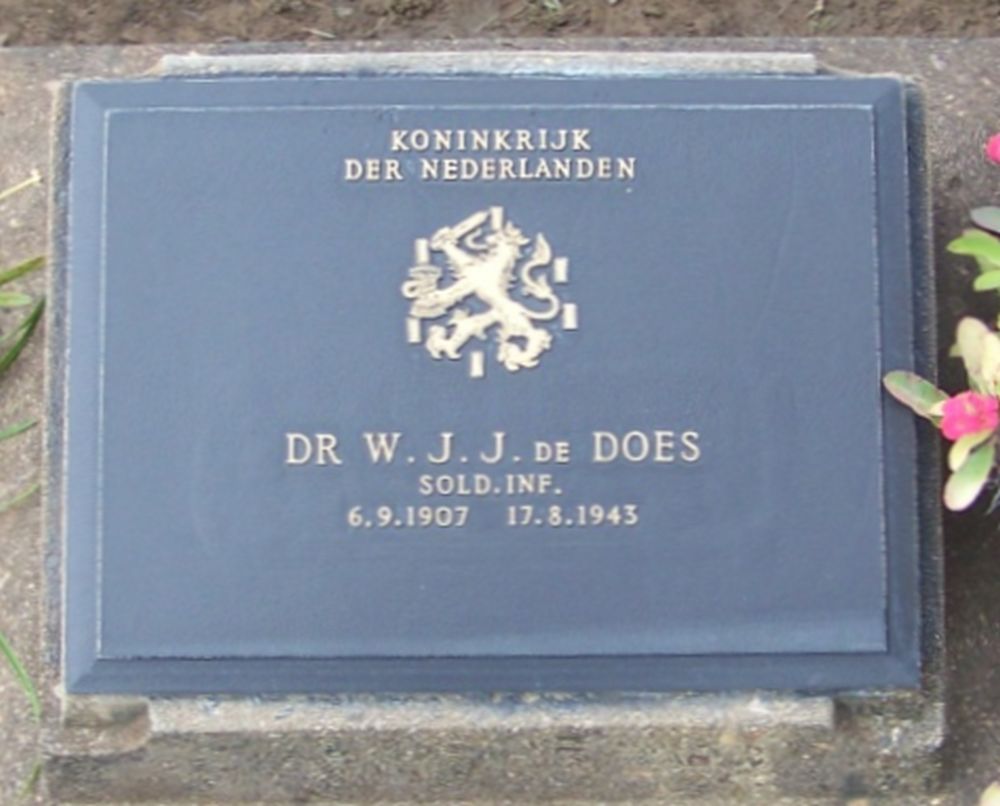 Does Dr W jj de.jpg