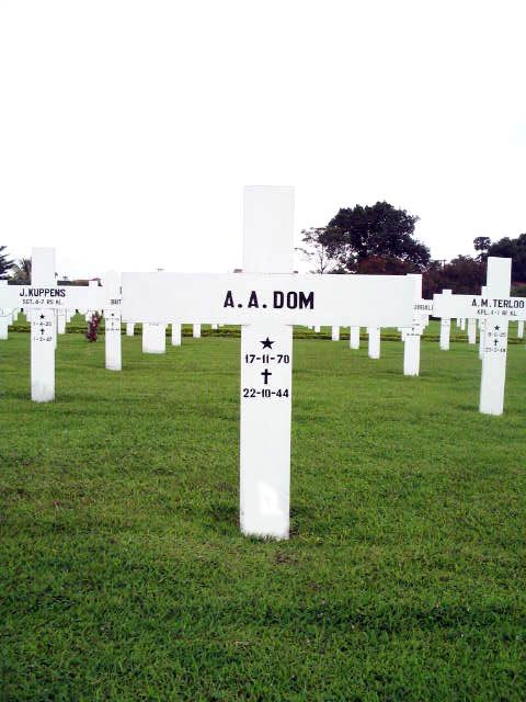 dom.a.a.2005.jpg
