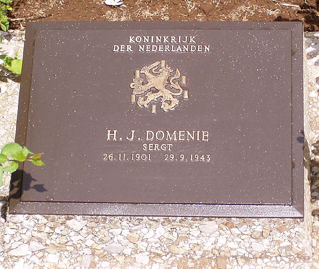 domenie.h.j.2006.jpg