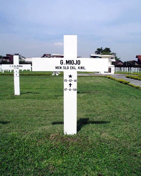 miojo.g.2005.jpg