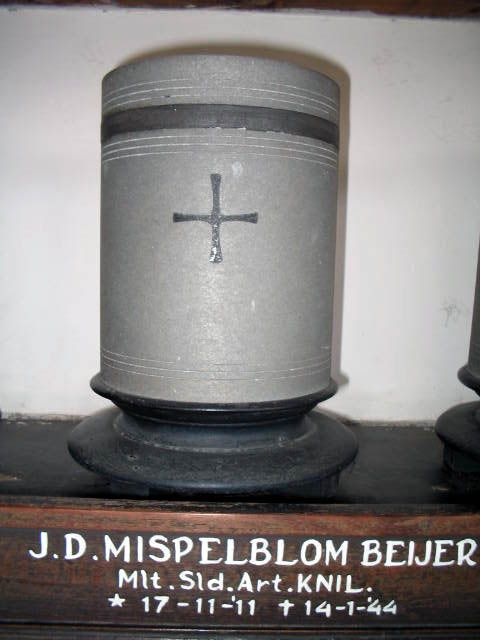 mispelblom beijer.j.d.2005.jpg