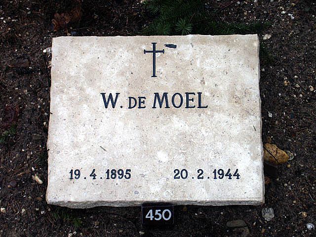 moel.de.w.2006.jpg