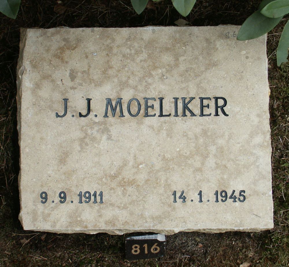moeliker.j.j.2006.jpg