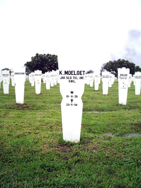 moeloet.k.2005.jpg