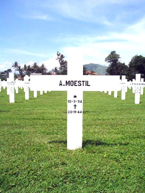 moestil.a.2005.jpg
