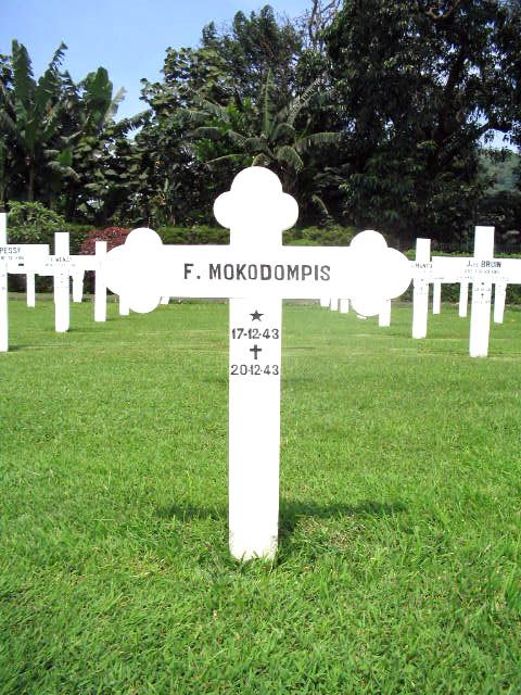 mokodompis.f.2005.jpg