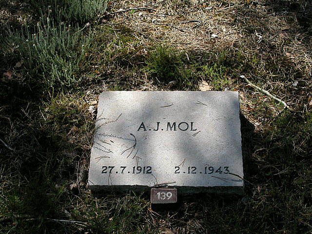 A.J.Mol.jpg