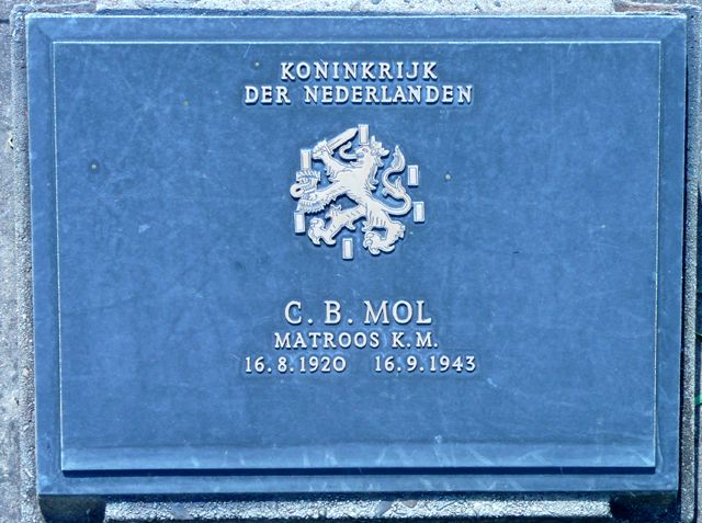 Mol.C.B.2008.jpg