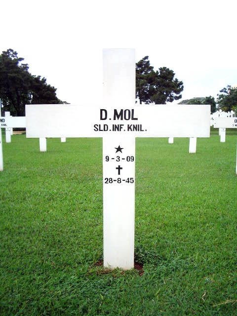 mol.d.2005.jpg