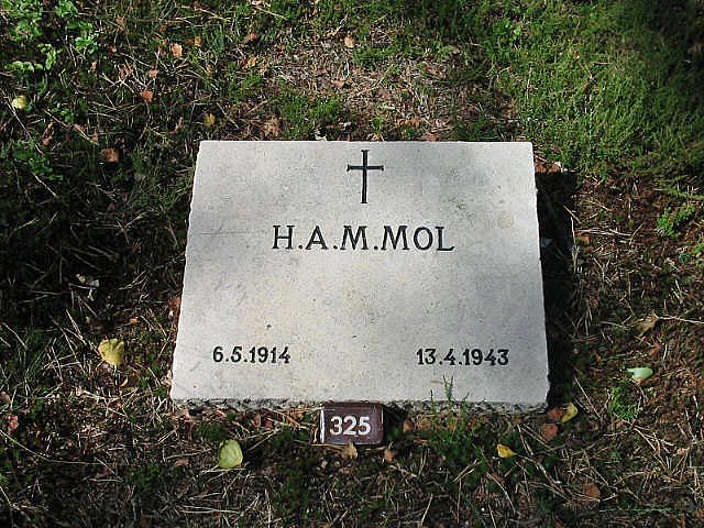H.A.M.Mol.jpg