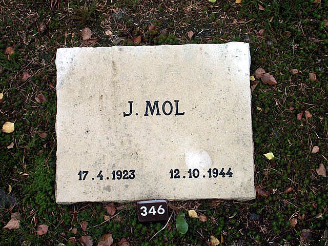 mol.j.2005.jpg