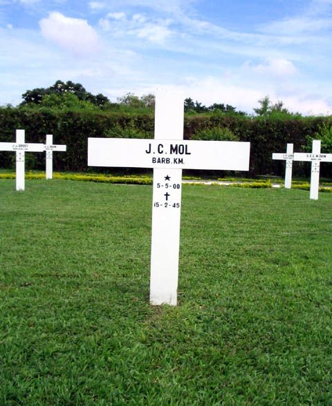 mol.j.c.2005.jpg
