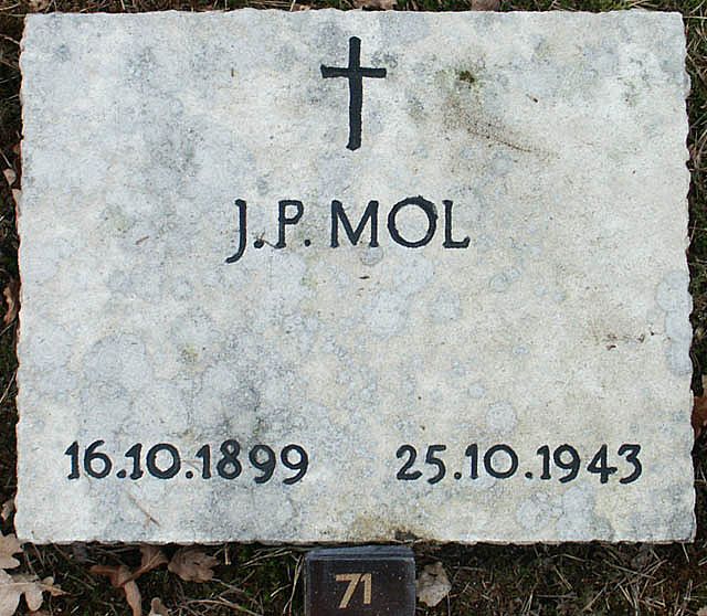 mol.j.p.2006.jpg