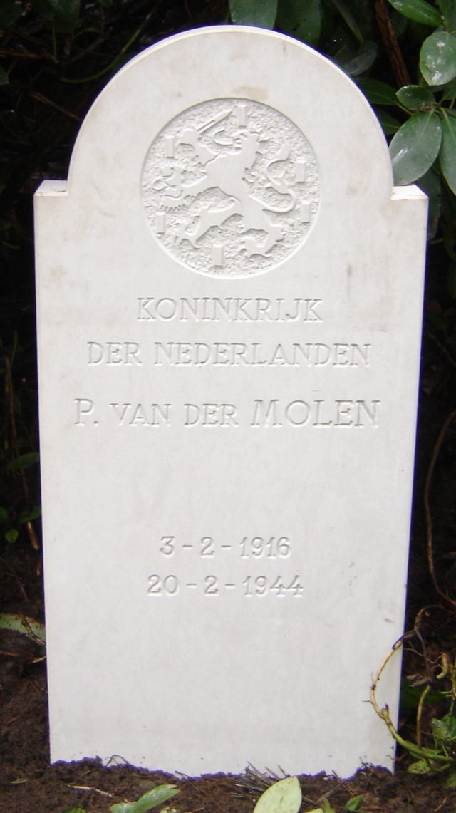 molen.p.vander.2009.jpg
