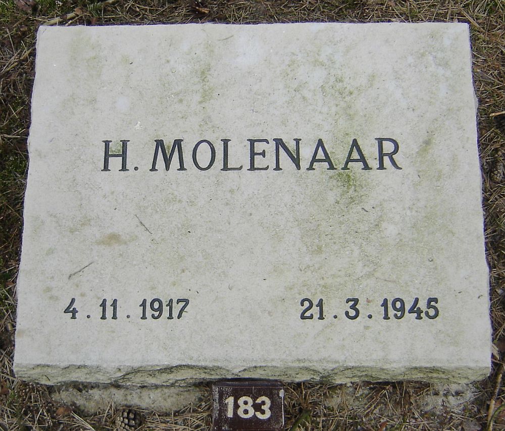 molenaar.h..jpg
