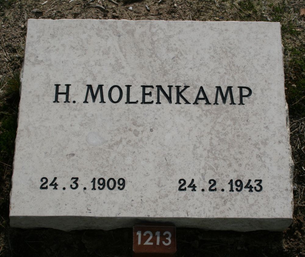 molenkamp.h.2010.jpg