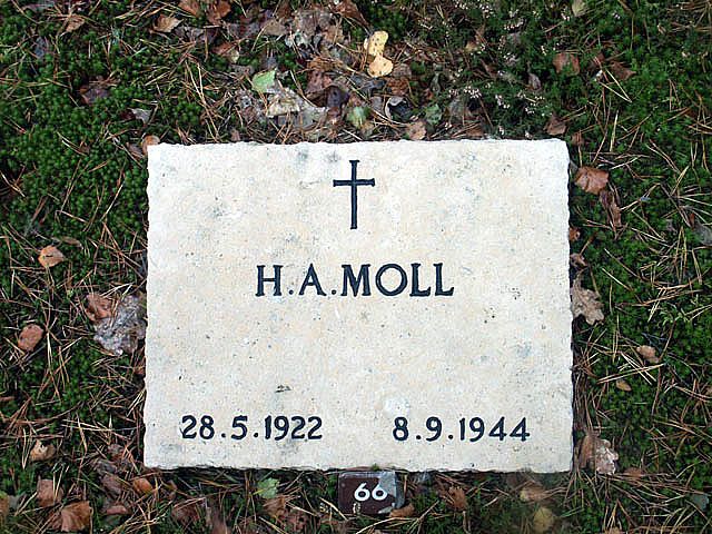 moll.h.a.2005.jpg