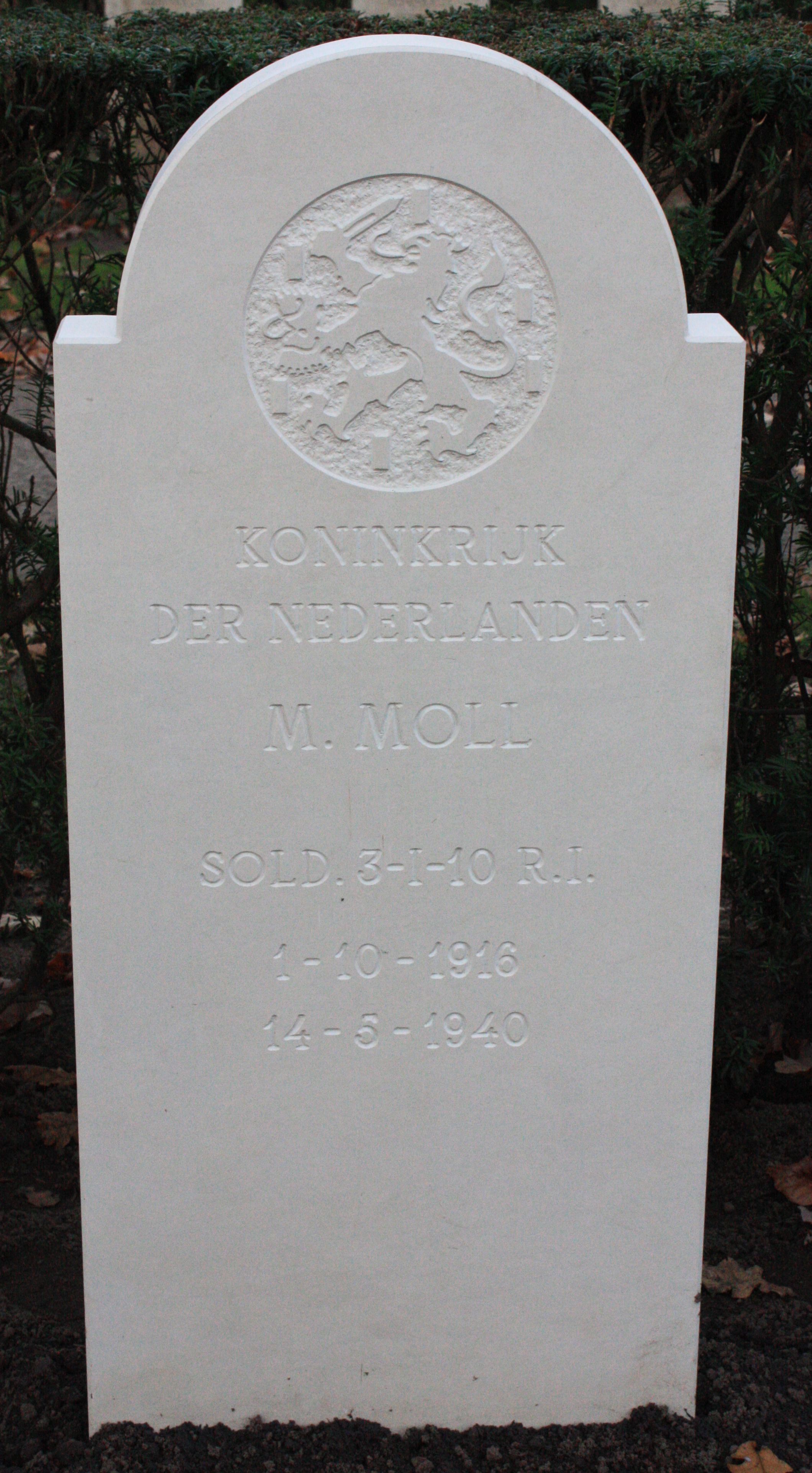 moll.m.jpg
