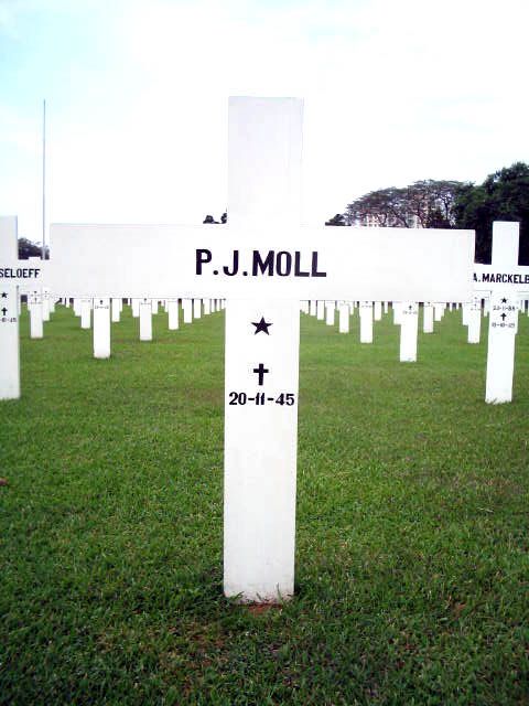 moll.p.j.2005.jpg