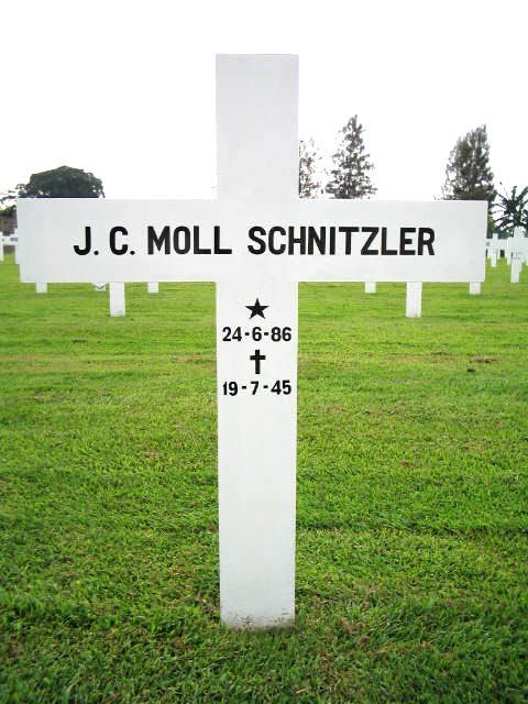 moll schnitzler j.c.2004.jpg