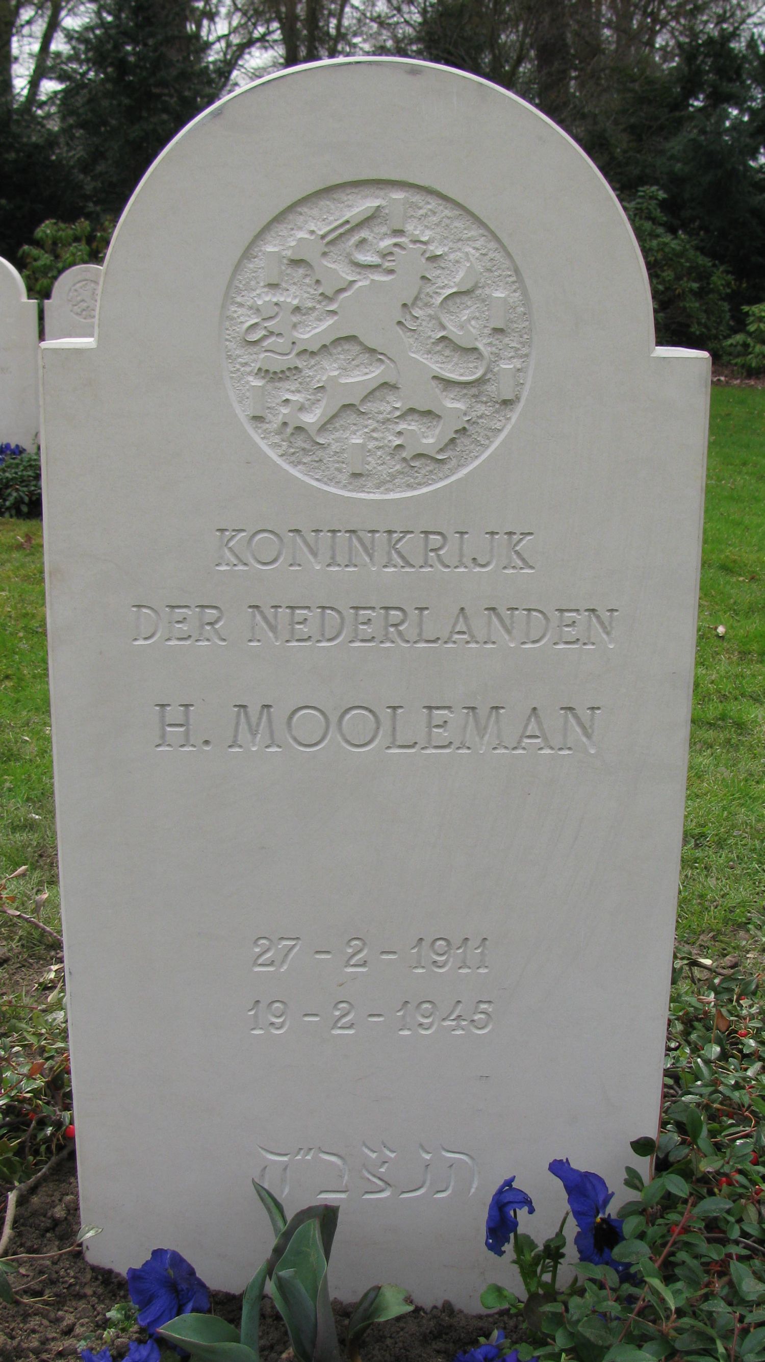 mooleman.h.2010.jpg