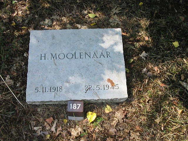 105987.jpg