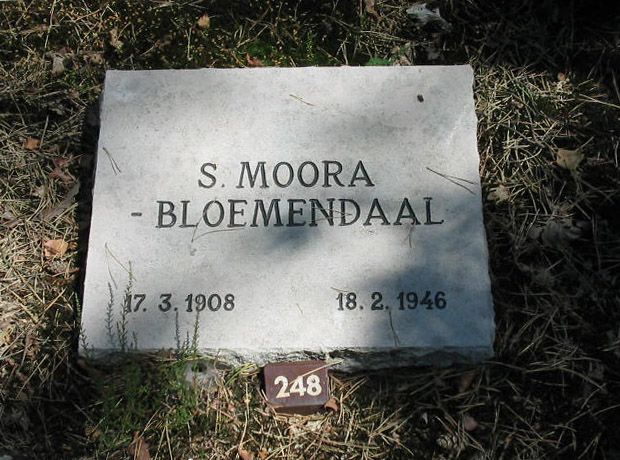 S.Moora Bloemendaal.jpg