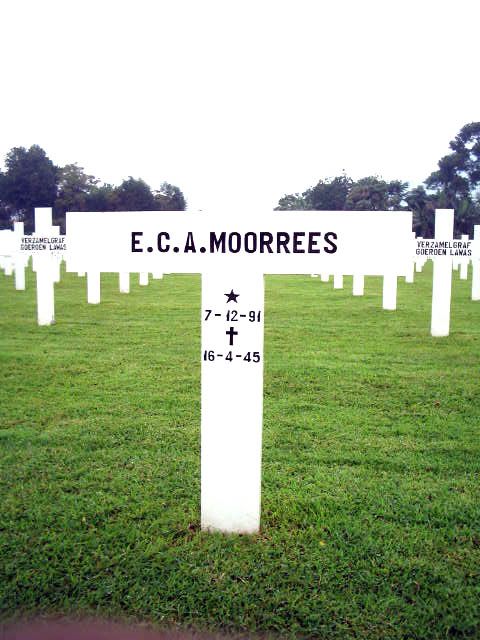 morrees.e.c.a.2005.jpg