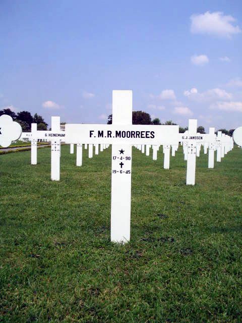 moorrees.f.m.r.2005.jpg