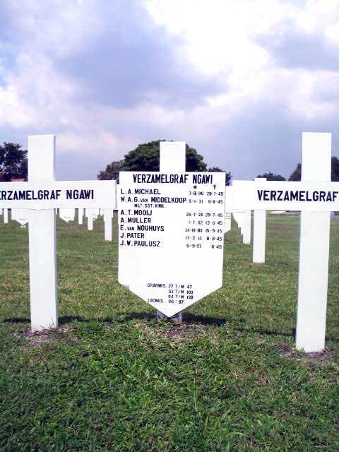 mooij.a.t.2005.jpg