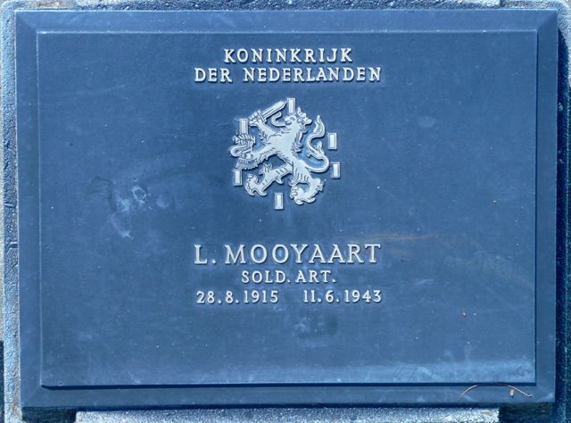 Mooyaart.L.2008.jpg