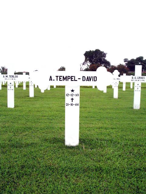 tempel.david.a.2005.jpg