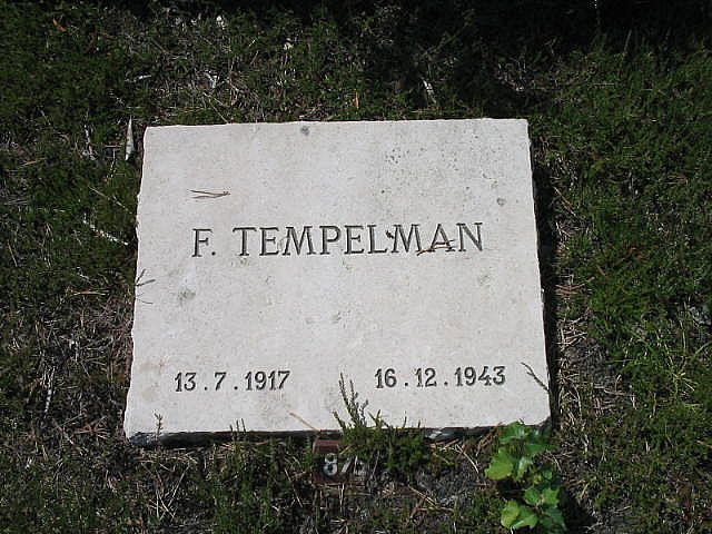 F.Tempelman.JPG