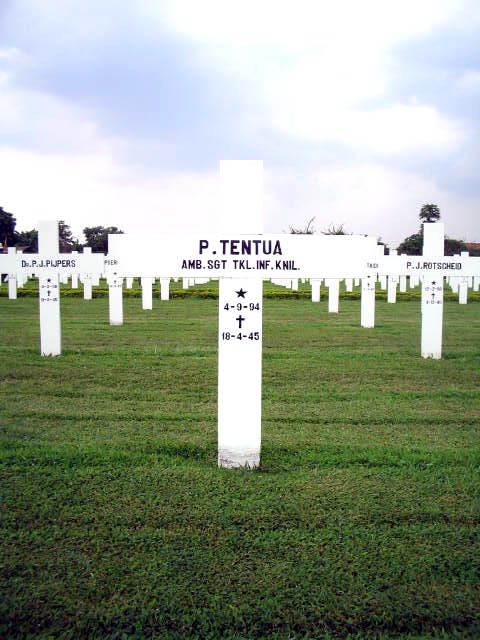 tentua.p.2005.jpg